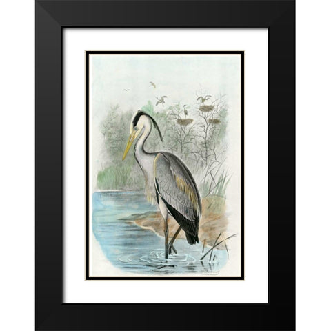 Oversize Common Heron Black Modern Wood Framed Art Print with Double Matting by unknown