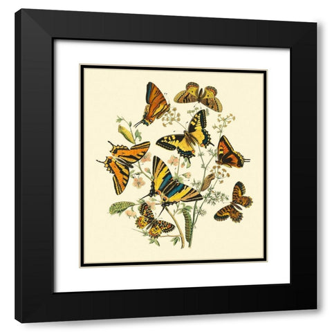 Butterfly Gathering I Black Modern Wood Framed Art Print with Double Matting by Vision Studio