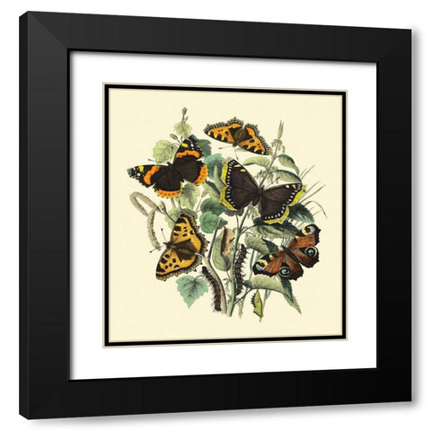 Butterfly Gathering II Black Modern Wood Framed Art Print with Double Matting by Vision Studio