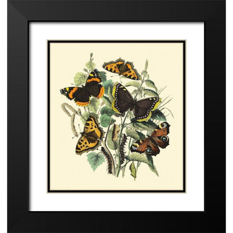 Butterfly Gathering II Black Modern Wood Framed Art Print with Double Matting by Vision Studio