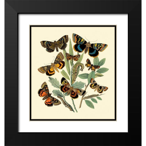 Butterfly Gathering III Black Modern Wood Framed Art Print with Double Matting by Vision Studio