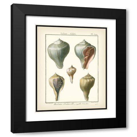 Volute Shells  Pl.390 Black Modern Wood Framed Art Print with Double Matting by Diderot, Denis