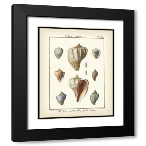 Volute Shells, Pl.384 Black Modern Wood Framed Art Print with Double Matting by Diderot, Denis