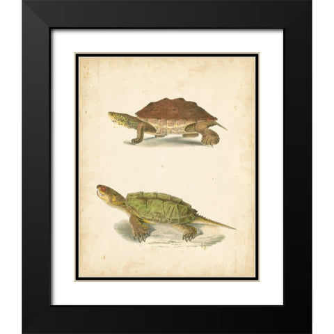 Turtle Duo II Black Modern Wood Framed Art Print with Double Matting by Hill, J.W.