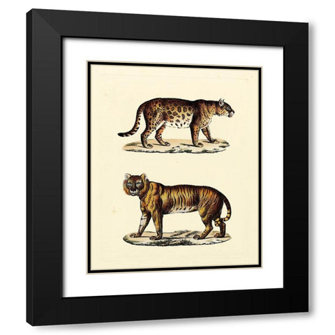 Animal Studies II Black Modern Wood Framed Art Print with Double Matting by Vision Studio