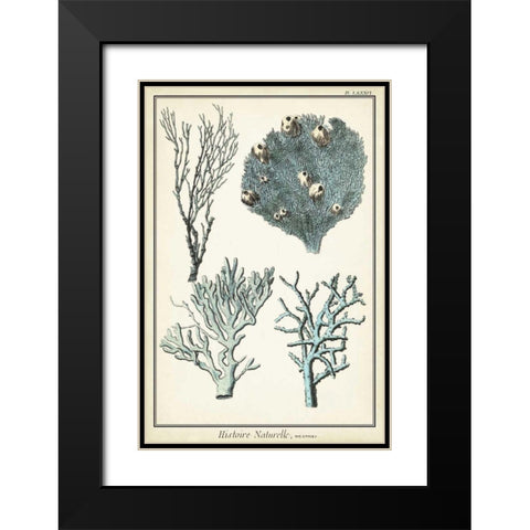 Coral Species II Black Modern Wood Framed Art Print with Double Matting by Vision Studio