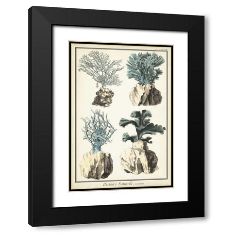 Coral Species III Black Modern Wood Framed Art Print with Double Matting by Vision Studio