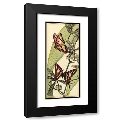 Butterfly Beauty II Black Modern Wood Framed Art Print with Double Matting by Vision Studio