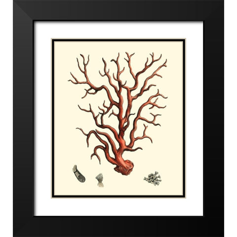 Red Coral I Black Modern Wood Framed Art Print with Double Matting by Vision Studio