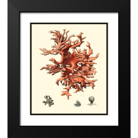 Red Coral III Black Modern Wood Framed Art Print with Double Matting by Vision Studio