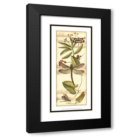 Dragonfly Gathering II Black Modern Wood Framed Art Print with Double Matting by Vision Studio