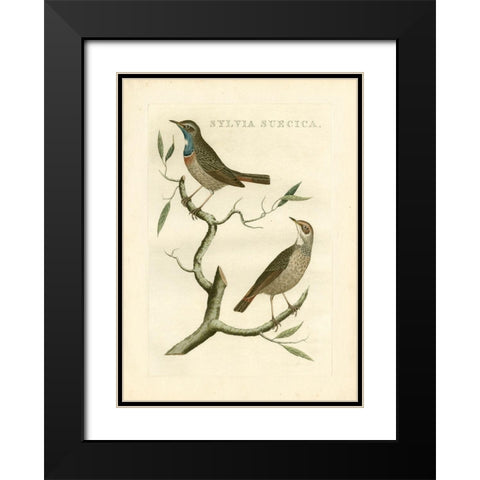 Nozeman Birds II Black Modern Wood Framed Art Print with Double Matting by Nozeman