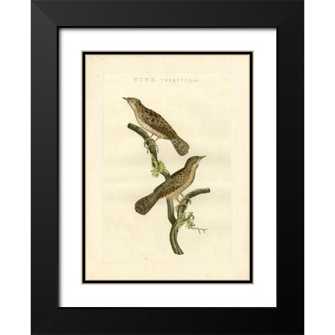 Nozeman Birds V Black Modern Wood Framed Art Print with Double Matting by Nozeman