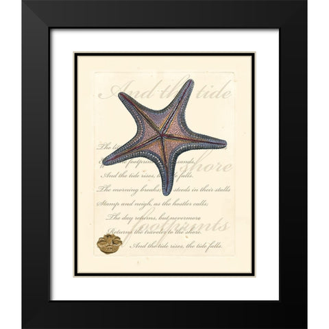 Romance of the Shell II Black Modern Wood Framed Art Print with Double Matting by Vision Studio