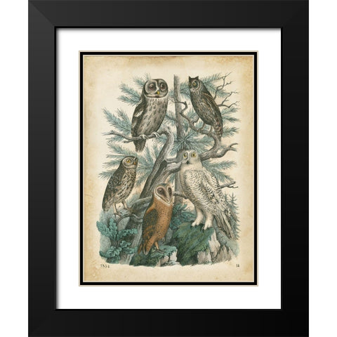 Natures Gathering III Black Modern Wood Framed Art Print with Double Matting by Wiek, John