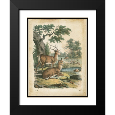 Natures Gathering IV Black Modern Wood Framed Art Print with Double Matting by Wiek, John