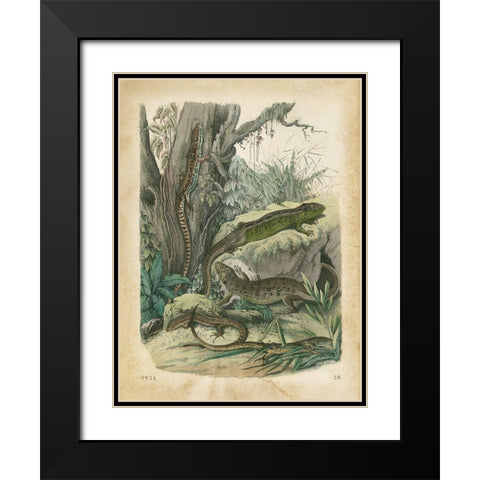 Natures Gathering V Black Modern Wood Framed Art Print with Double Matting by Wiek, John