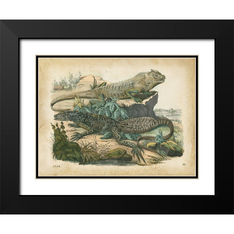 Natures Gathering VI Black Modern Wood Framed Art Print with Double Matting by Wiek, John