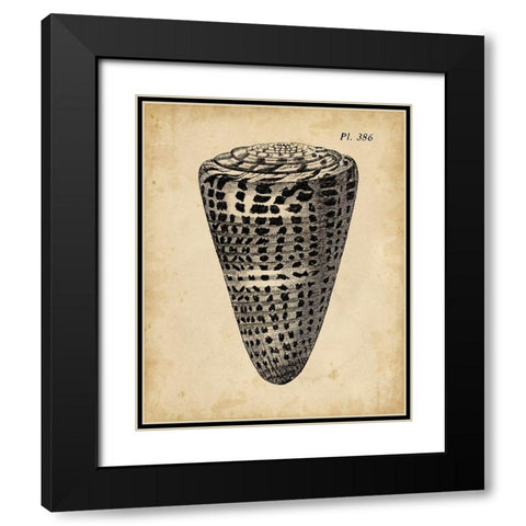 Vintage Diderot Shell I Black Modern Wood Framed Art Print with Double Matting by Vision Studio