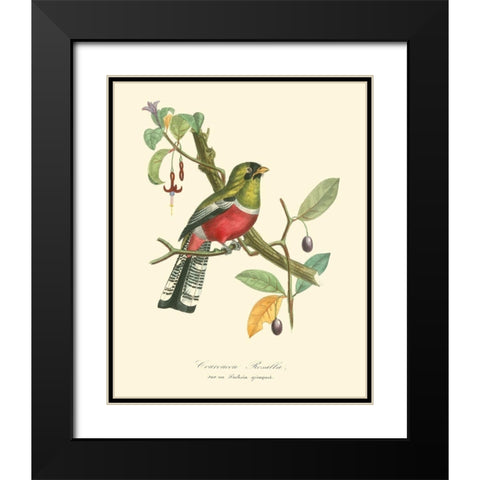 Nature Jardin I Black Modern Wood Framed Art Print with Double Matting by Curmer, L.