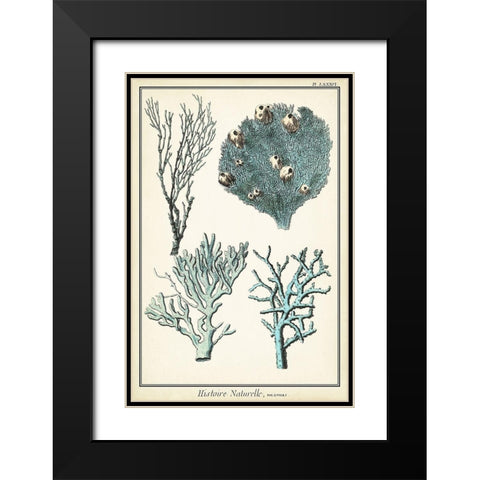 Oversize Coral Species II Black Modern Wood Framed Art Print with Double Matting by Vision Studio
