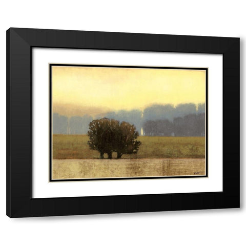 Villa Park I Black Modern Wood Framed Art Print with Double Matting by Wyatt Jr., Norman