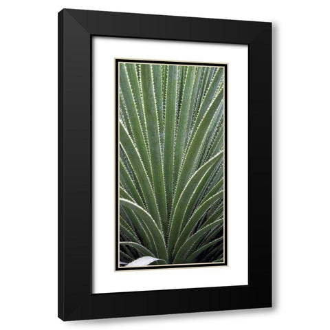Cactus Celery Black Modern Wood Framed Art Print with Double Matting by Perry, Rachel
