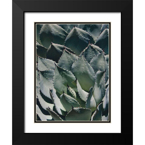 Agave I Black Modern Wood Framed Art Print with Double Matting by Perry, Rachel