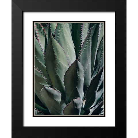 Agave II Black Modern Wood Framed Art Print with Double Matting by Perry, Rachel