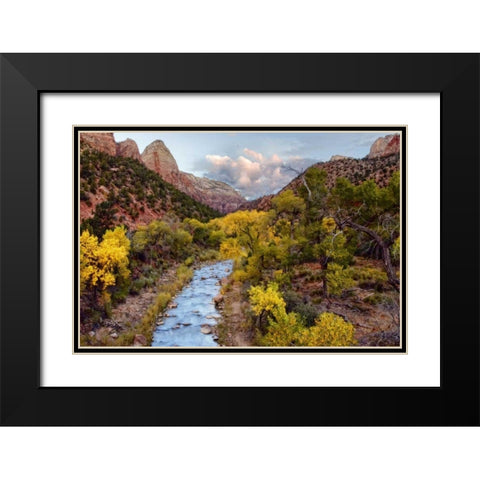 Brilliant View I Black Modern Wood Framed Art Print with Double Matting by Chester, Colby