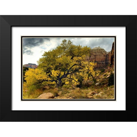 Brilliant View III Black Modern Wood Framed Art Print with Double Matting by Chester, Colby