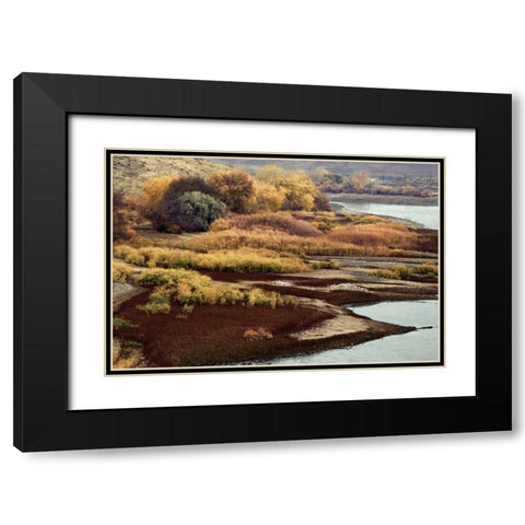 Brilliant View IV Black Modern Wood Framed Art Print with Double Matting by Chester, Colby