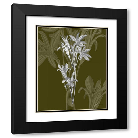 Jewel Stems II Black Modern Wood Framed Art Print with Double Matting by Burghardt, James