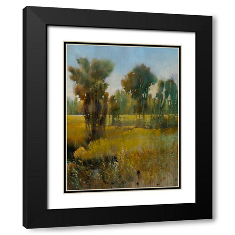 Sunkissed Field II Black Modern Wood Framed Art Print with Double Matting by OToole, Tim