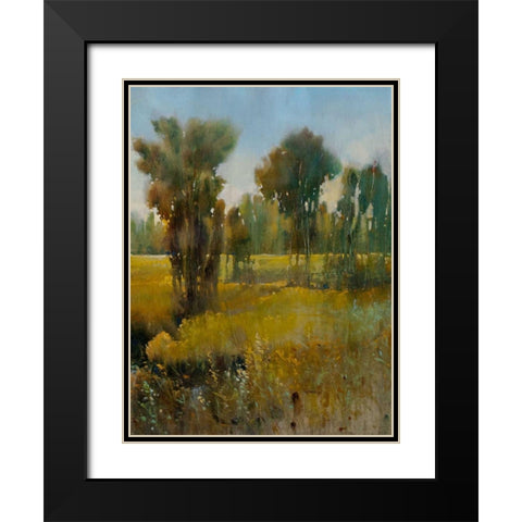 Sunkissed Field II Black Modern Wood Framed Art Print with Double Matting by OToole, Tim