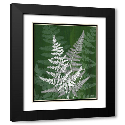 Jewel Ferns IV Black Modern Wood Framed Art Print with Double Matting by Burghardt, James