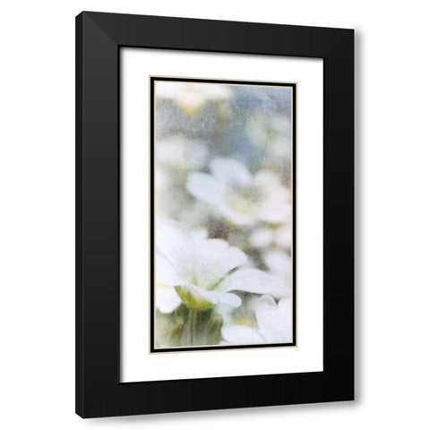 Looking Glass I Black Modern Wood Framed Art Print with Double Matting by Blixt, Ingrid
