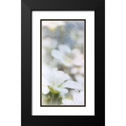 Looking Glass I Black Modern Wood Framed Art Print with Double Matting by Blixt, Ingrid