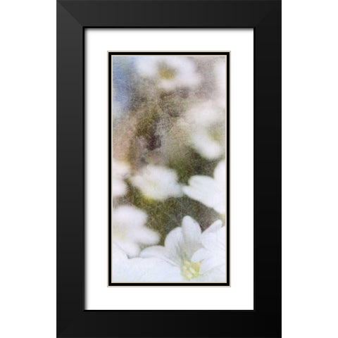 Looking Glass II Black Modern Wood Framed Art Print with Double Matting by Blixt, Ingrid