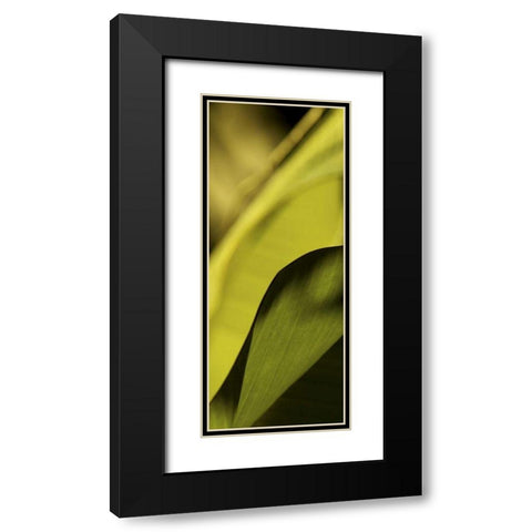 Leaf Detail I Black Modern Wood Framed Art Print with Double Matting by Ling, Tang