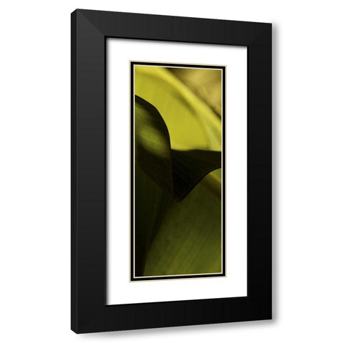 Leaf Detail II Black Modern Wood Framed Art Print with Double Matting by Ling, Tang
