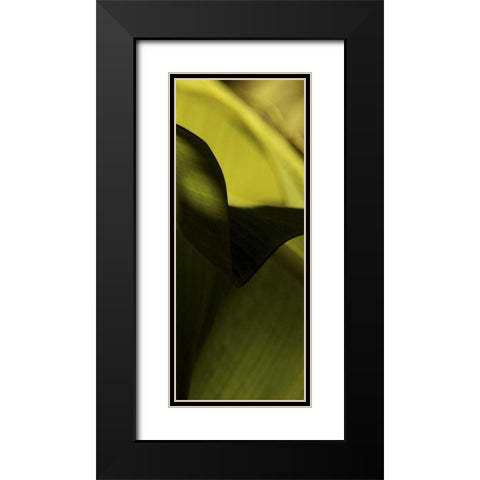 Leaf Detail II Black Modern Wood Framed Art Print with Double Matting by Ling, Tang