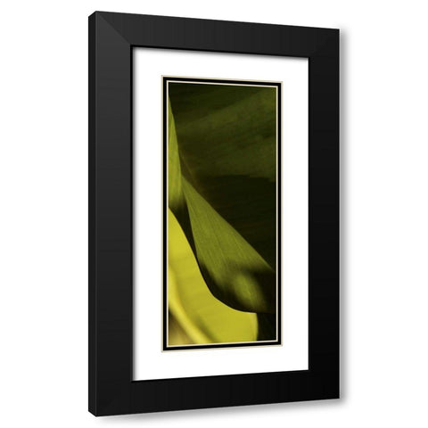 Leaf Detail III Black Modern Wood Framed Art Print with Double Matting by Ling, Tang