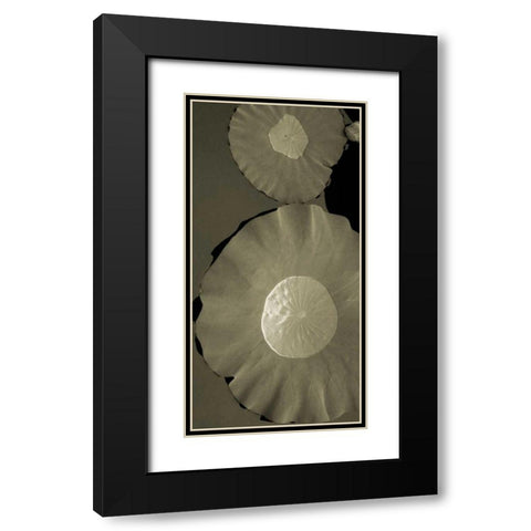 Lotus I Black Modern Wood Framed Art Print with Double Matting by Ling, Tang