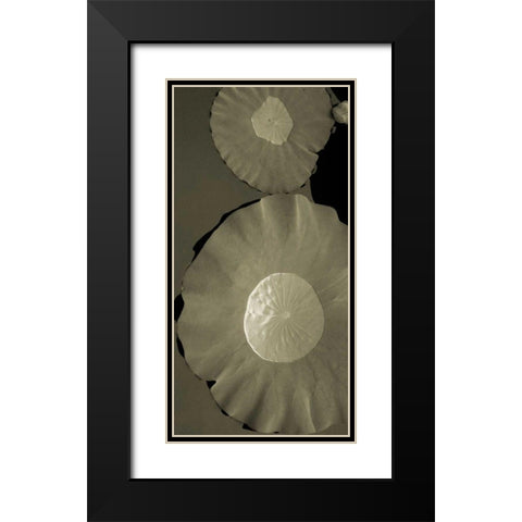 Lotus I Black Modern Wood Framed Art Print with Double Matting by Ling, Tang