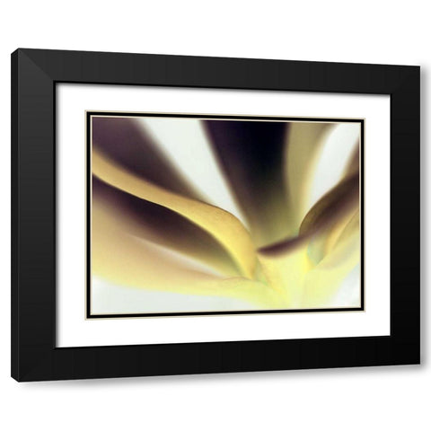 Petal II Black Modern Wood Framed Art Print with Double Matting by Ling, Tang