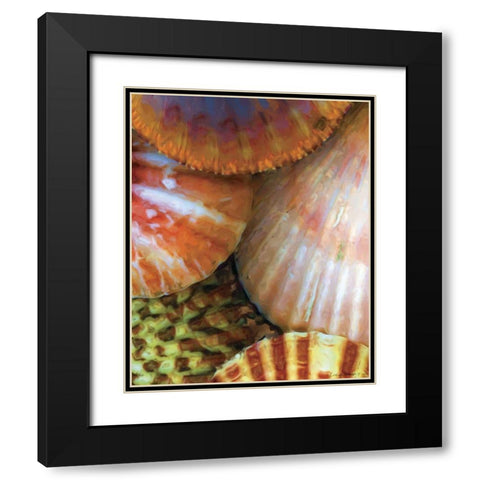 Shell Extraction III Black Modern Wood Framed Art Print with Double Matting by Henry, Lola