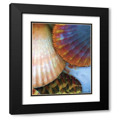 Shell Extraction IV Black Modern Wood Framed Art Print with Double Matting by Henry, Lola