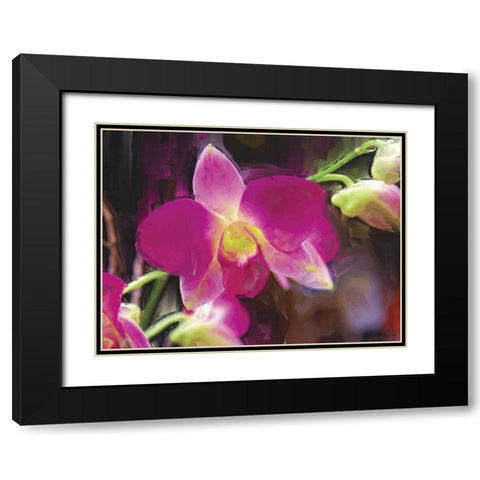 Painterly Flower V Black Modern Wood Framed Art Print with Double Matting by Henry, Lola