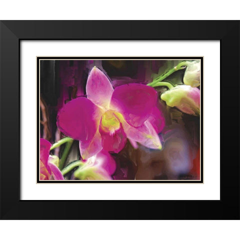 Painterly Flower V Black Modern Wood Framed Art Print with Double Matting by Henry, Lola